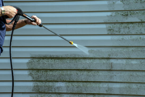 Best Driveway Pressure Washing  in Kachina Village, AZ